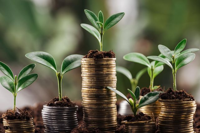 ¿Puede Argentina ser el próximo líder en mercados de créditos de carbono?