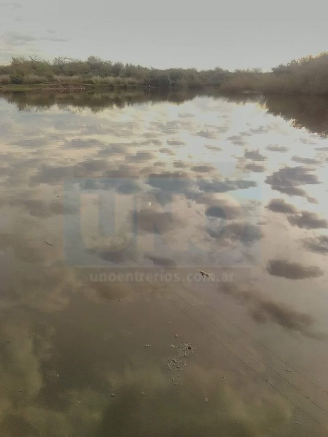 Vecinos de San José denunciaron mortandad de peces
