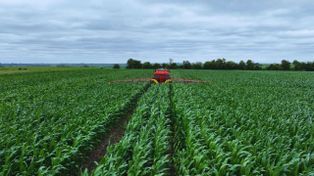 Con lluvias a favor y baja de retenciones, los fertilizantes vuelven a ganar terreno