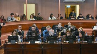 Industria: una iniciativa busca declarar la emergencia de la industria entrerriana