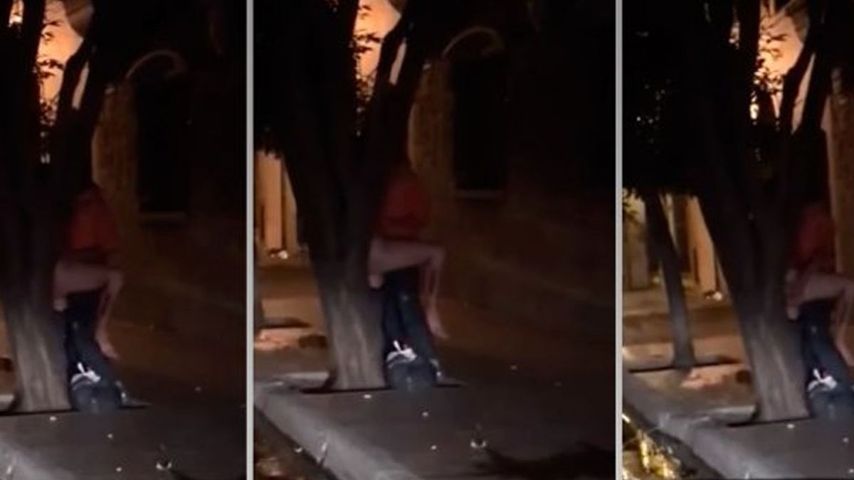 No aguantaron más: salieron de bailar, tuvieron sexo contra un árbol y los  grabaron