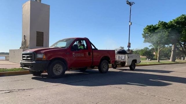 Fumigación mosquitos Santo Tomé&nbsp;