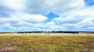 La identificación de soldados argentinos en Malvinas tiene aval kelper