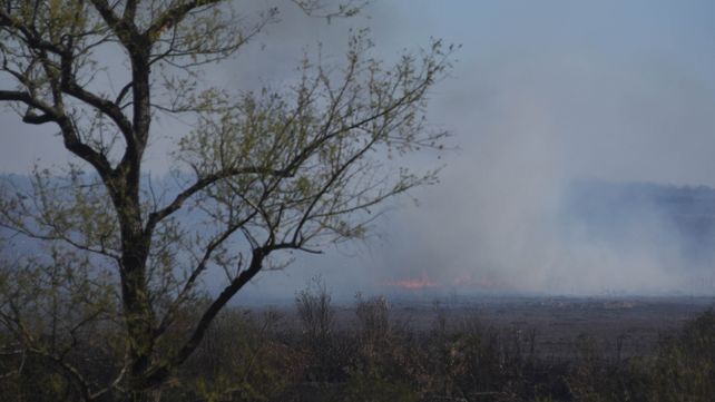 Los incendios en las islas causan estragos en la salud de los habitantes de las poblaciones ubicadas sobre el río Paraná.
