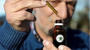Ordenan a prepaga cubrir un tratamiento con aceite de cannabis