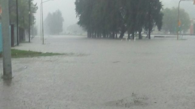 Imágenes de la ciudad de Avellaneda.