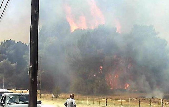 Pavoroso. Varias dotaciones de bomberos debieron trabajar arduamente para controlar el fuego.