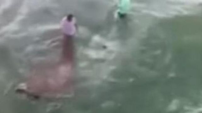 Un video registró el momento en el que un tiburón ataca a dos pescadores
