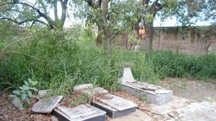 Desde el Concejo, reclaman declarar en emergencia al Cementerio Municipal