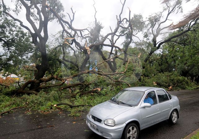 El panorama en algunos barrios de la ciudad fue devastador. Foto: M. Testi