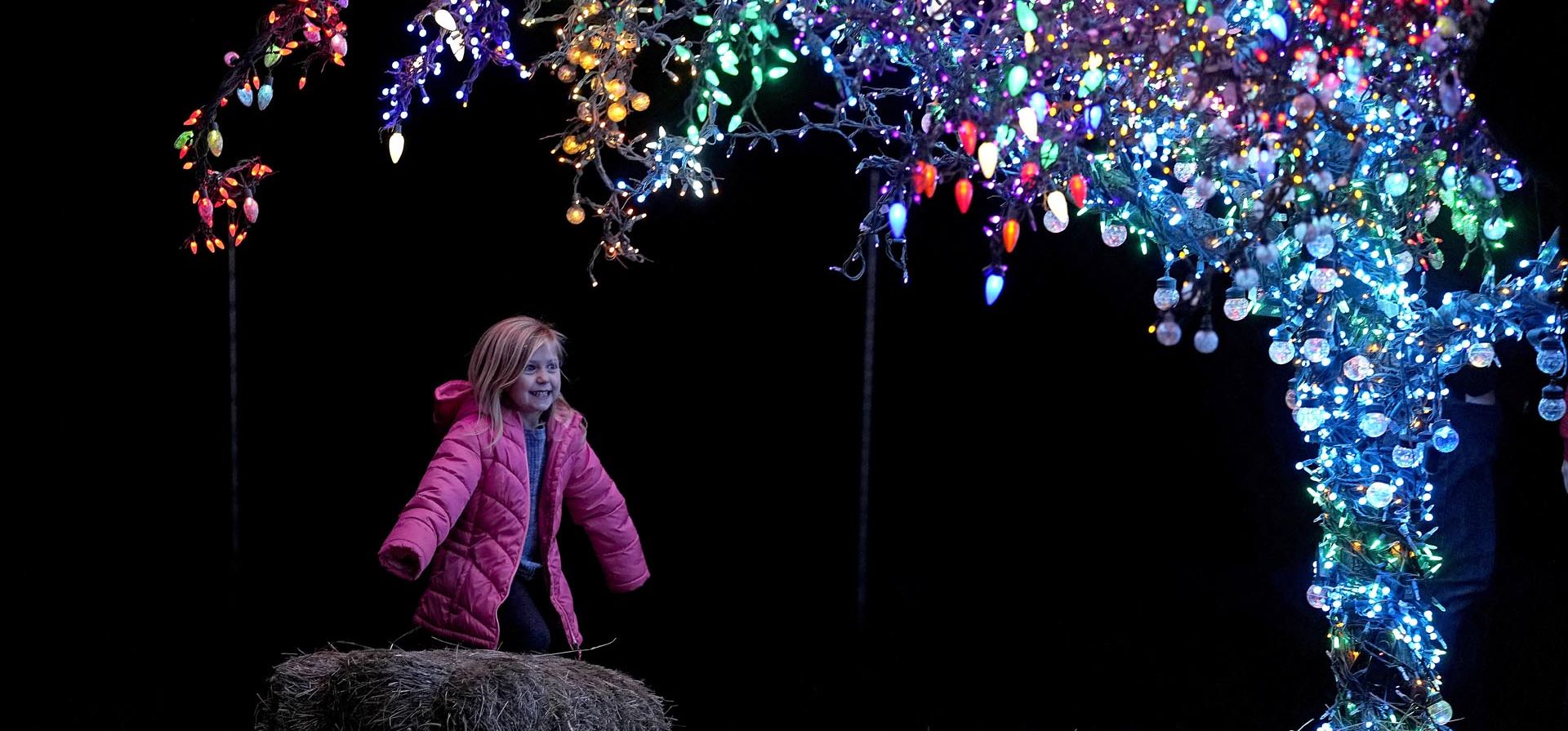 Una niña mira el árbol mágico de Lee