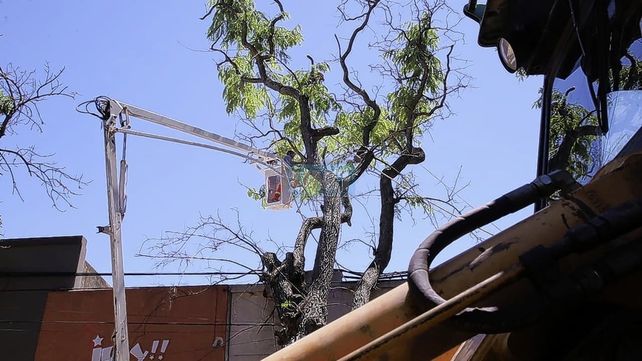 Paraná: la comuna realiza un operativo de urgencia tras los daños por el temporal