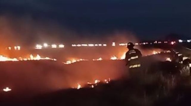 Las llamas se propagaron sobre el cantero central.