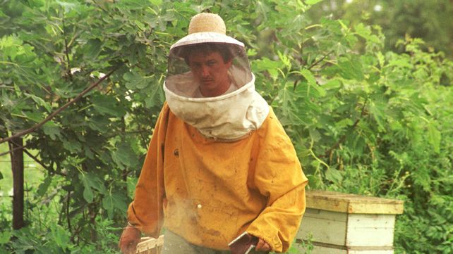 Potencial. Apicultores reclaman que sea valorizado su trabajo.&nbsp;