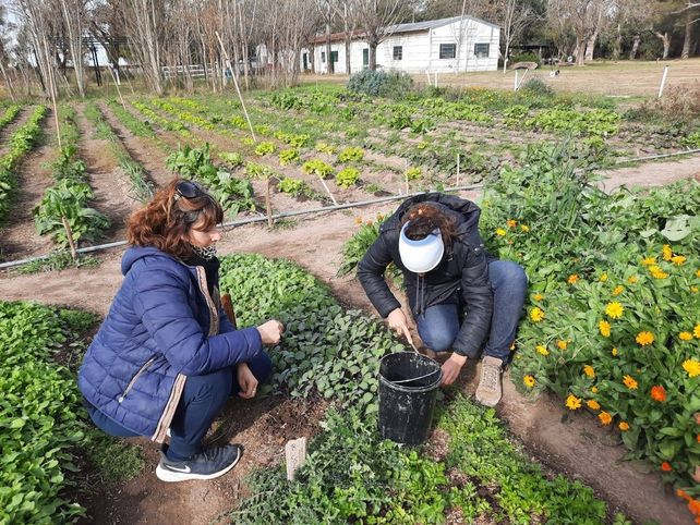 La entidad educativa que apuesta a agregar valor en origen a los productos agroecológicos