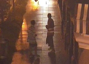 Gracias a las cámaras detuvieron a dos delincuentes en La Peatonal