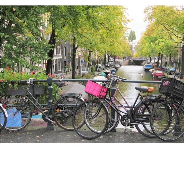 Ámsterdam: un oasis verde en medio del asfalto