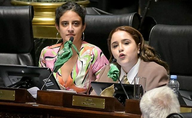 La legisladora del Frente de Todos