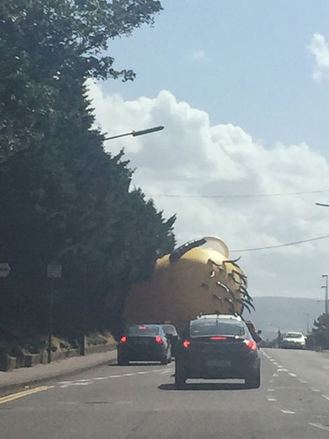El minion escapó y creó el caos en Santry