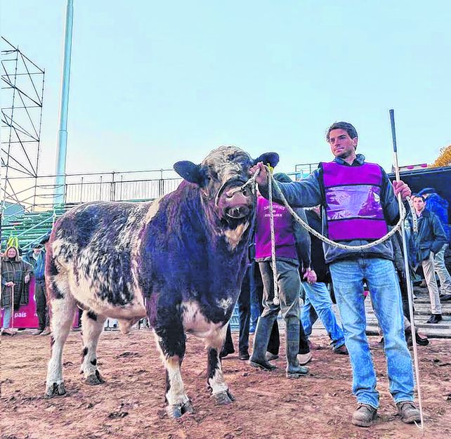 La Rural mostró el camino de la recuperación ganadera
