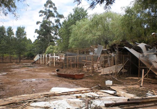 Foto: Gentileza/Peña La Tortuga