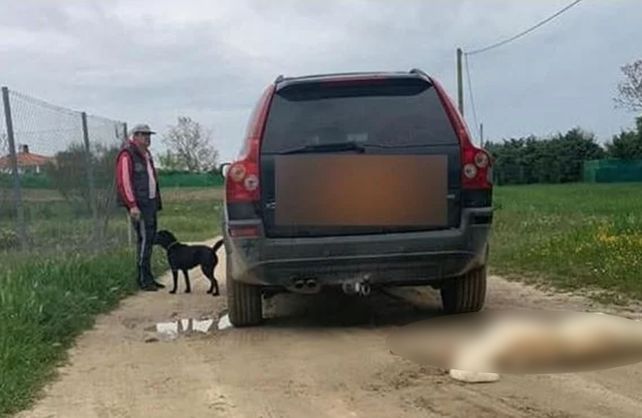 Violaron la cuarentena para arrastrar un perro con un auto hasta matarlo