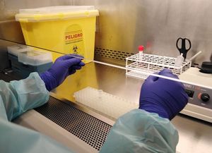 Son 33 los casos en estudio por coronavirus en la provincia