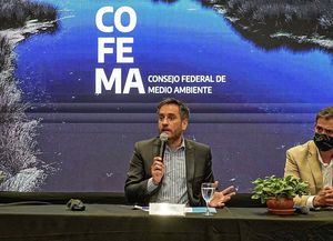 Ley de Humedales: el Gobierno anunció que hará en un nuevo proyecto