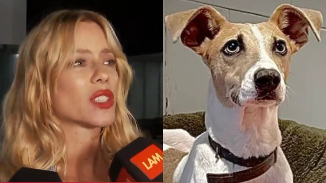 Tiene que estar en condiciones mejores de las que estaba cuando se lo rescató