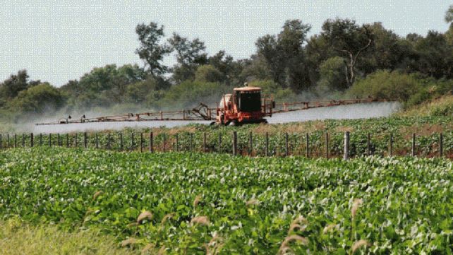 Un fallo en contra del gobierno
