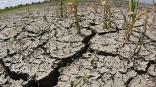 Efecto La Niña: 2022 fue el octavo año más seco de la historia