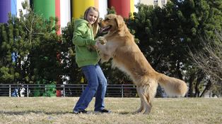 Día Mundial del Perro: una fecha para mimar al amigo más fiel