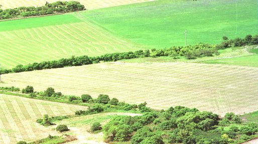 Un impuesto al latifundio
