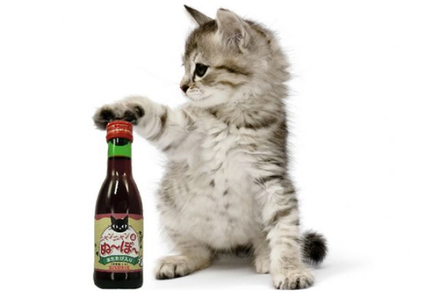 Vino para gatos, la nueva sensación en Japón
