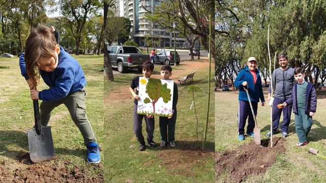 La idea de un artista se replicó en Paraná para equilibrar la tragedia amazónica