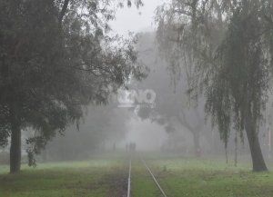 La ciudad de Santa Fe atrapada en una densa niebla: qué es este fenómeno y por qué se forma