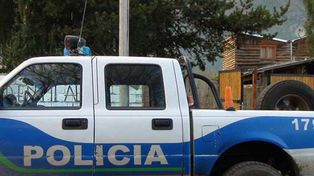 Dos perros salvaron a una adolescente de 13 años de ser violada y apuñalada