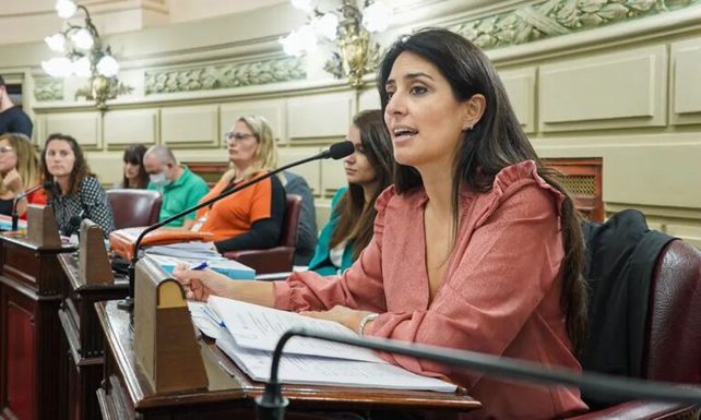 Dámaris Pacchiotti, representante de Ciudad Futura en la Cámara baja.