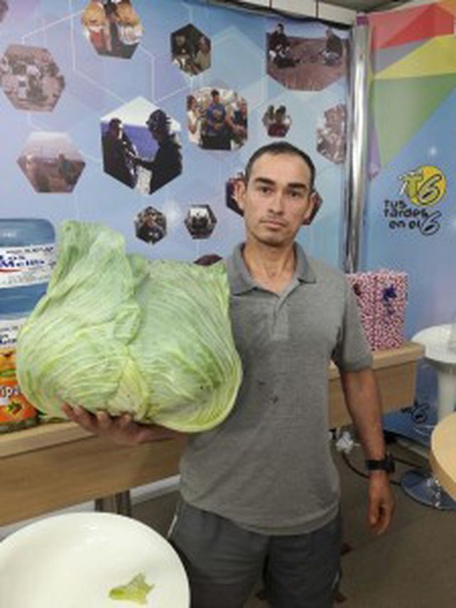 Cosechaba en su campo como siempre y se encontró con una gran sorpresa