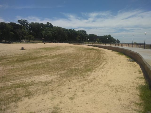 Se ve césped sobre la arena de la playa del Espigón II.