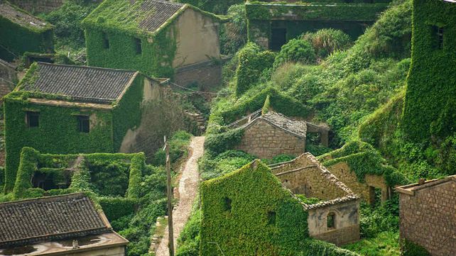Houtouwan, el pueblo que ha sido tomado por la naturaleza