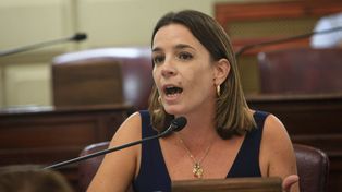 La diputada Lucila De Ponti