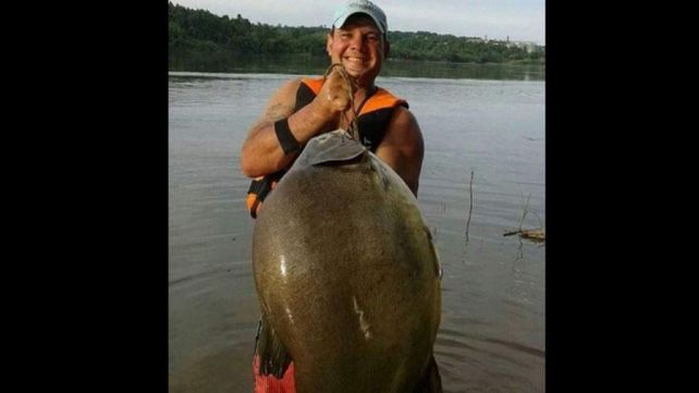 Pescaron un pacú de 26 kilos en el río Paraná