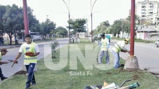 Los ex limpiavidrios le lavaron la cara a la avenida Peñaloza