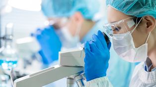 Nobel de Medicina: ¿qué líneas de investigación sobre inmunología se siguen en Rosario?