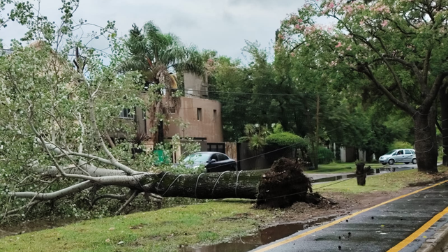 Uno de los sectores de Funes afectados por la tormenta. 