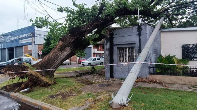 Uriburu y Suipacha. Los efectos de la tormenta de anoche.&nbsp;