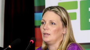 Geese: “El tope de aumento de gas no incluye a Santa Fe”