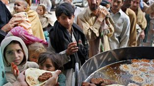 Seg&uacute;n la FAO, m&aacute;s de 1.000 millones de personas sufren hambre en el mundo