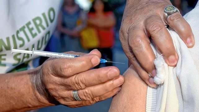 Dengue: el Ministerio de Salud explicó porqué no hay vacuna